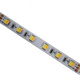 DC24V 5050 2IN1 LED strip with 60 LEDs per meter